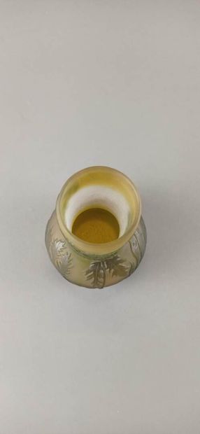 Émile GALLÉ (1846-1904).

Vase à long col...