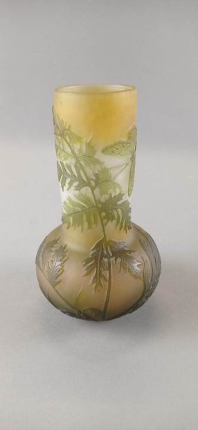 Émile GALLÉ (1846-1904).

Vase à long col...