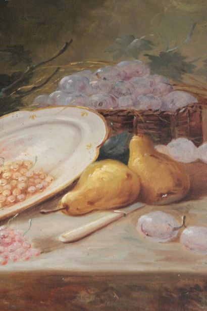 LE ROY (late 19th - early 20th century).


