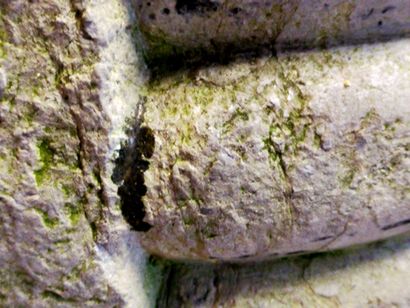 Marble stone stoup of circular shape

Decorated...