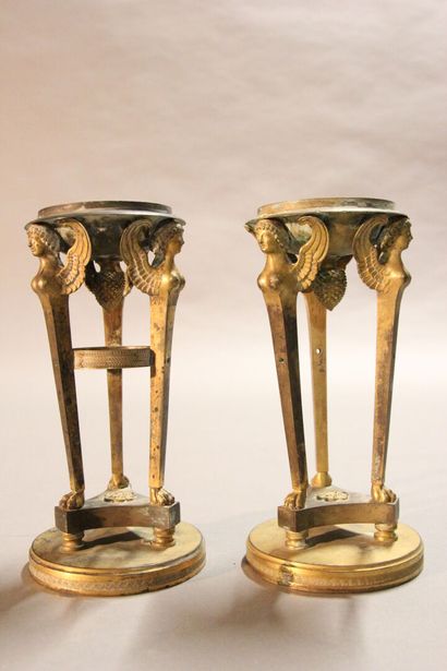 
Pair of gilt bronze cups supported by sphinxes...