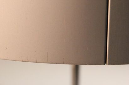 Curious lamp in chromed metal.

The body...