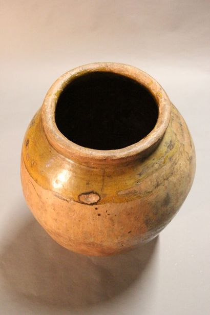 FREJUS or BIOT ?

Important jar in terra...