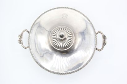 Silver covered broth.

The lid and the body...