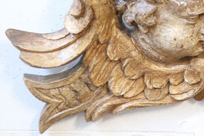 Decorative element in carved gilded wood...