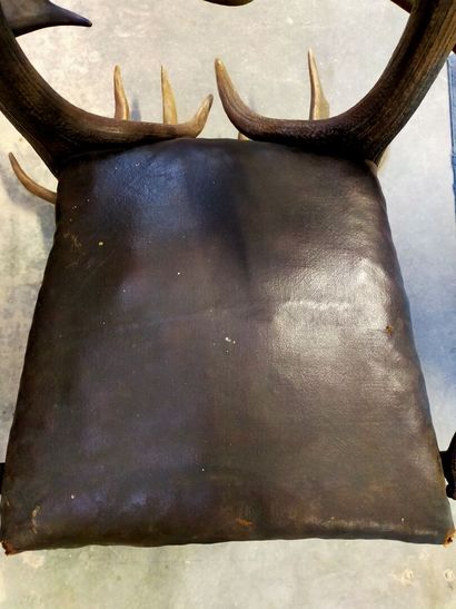 Black Forest.

Armchair said 