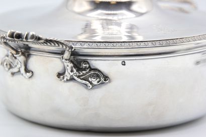 Silver covered broth.

The lid and the body...