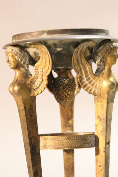 
Pair of gilt bronze cups supported by sphinxes...