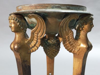 
Pair of gilt bronze cups supported by sphinxes...