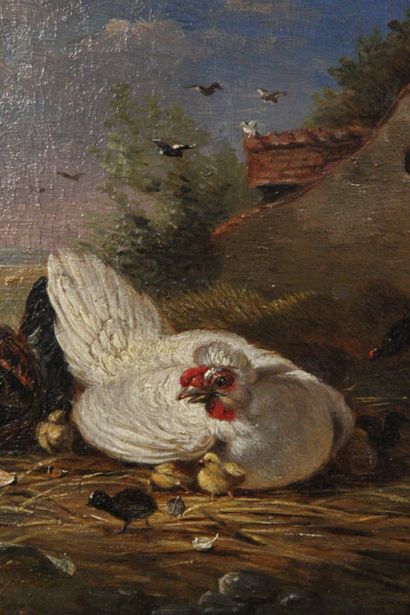 François Joseph HUYGENS (1820-1908)

