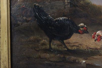 François Joseph HUYGENS (1820-1908)


