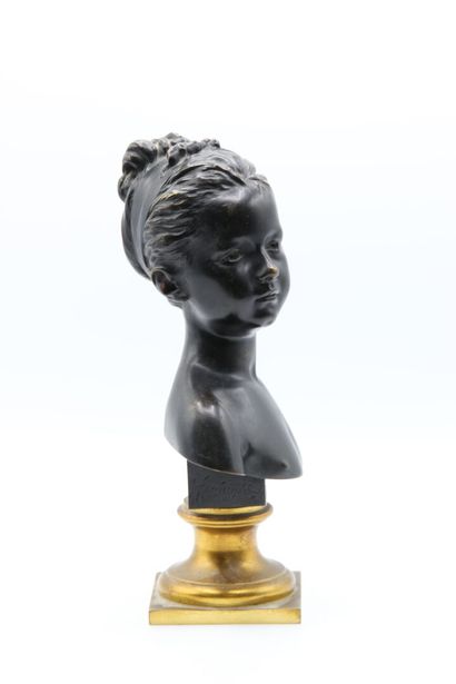 Jean-Antoine HOUDON (1741-1828), after.

