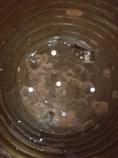 FREJUS or BIOT ?

Important jar in terra...