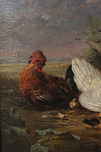 François Joseph HUYGENS (1820-1908)

