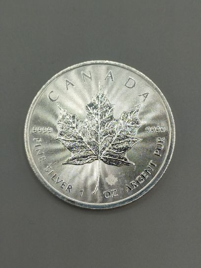 Lot of 25 Maple Leaf (Canada).

Each coin...