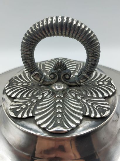 Silver covered vegetable dish.

Body and...