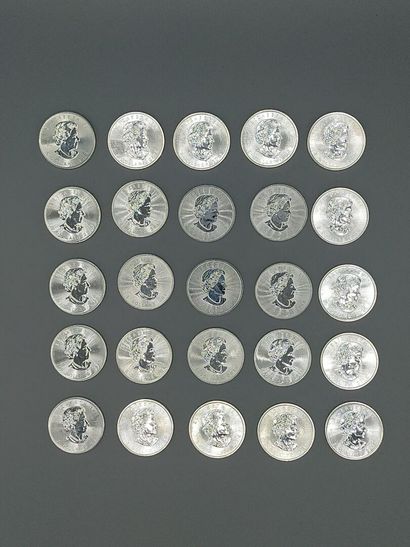 Lot of 25 Maple Leaf (Canada).

Each coin...