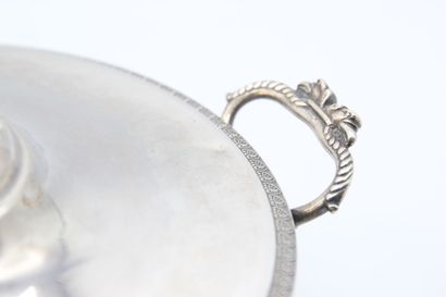 Silver covered broth.

The lid and the body...