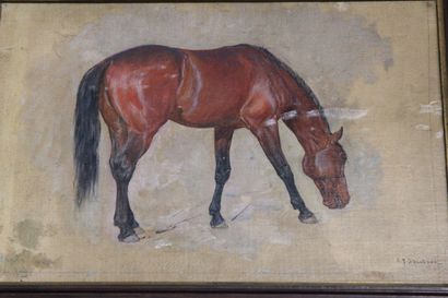 John-Lewis SHONBORN (1852 - 1931).

