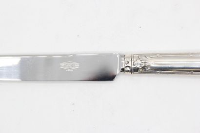 Table knife ( under pocket ) with the model...