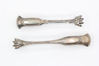 Two sugar tongs with lion paw tips in the...