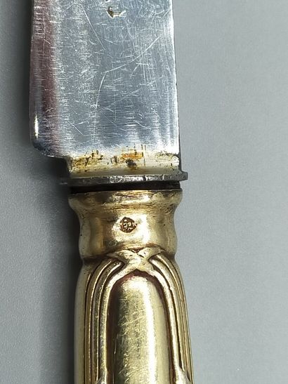 Double set of knives in vermeil (gold on...