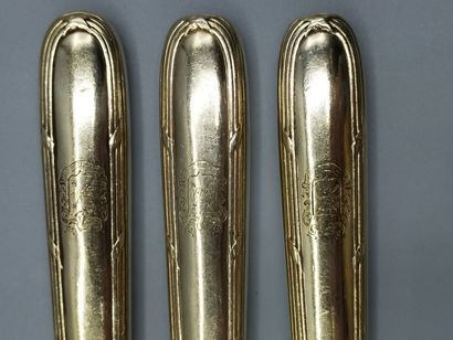 Double set of knives in vermeil (gold on...