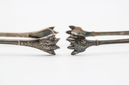 Two sugar tongs with lion paw tips in the...