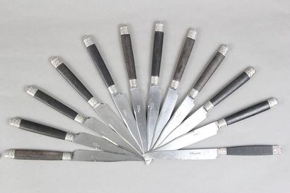 Double set of knives with wooden handles,...