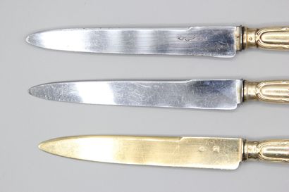 Double set of knives in vermeil (gold on...