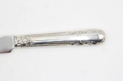 Table knife ( under pocket ) with the model...