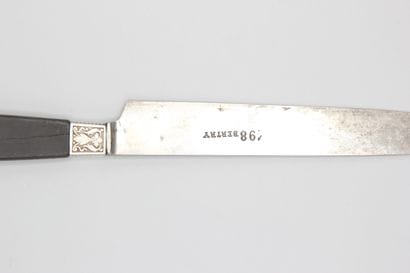 Double set of knives with wooden handles,...