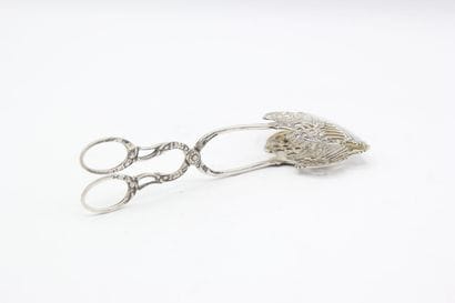 Silver 800°° scissors for small cakes / asparagus
Scissors