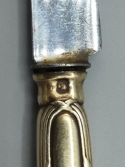 Double set of knives in vermeil (gold on...