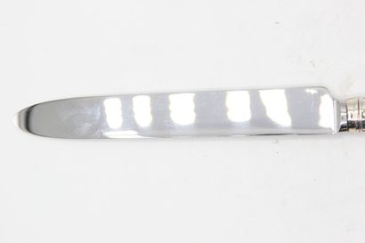 Table knife ( under pocket ) with the model...