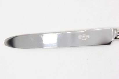 Table knife ( under pocket ) with the model...