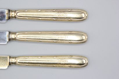 Double set of knives in vermeil (gold on...