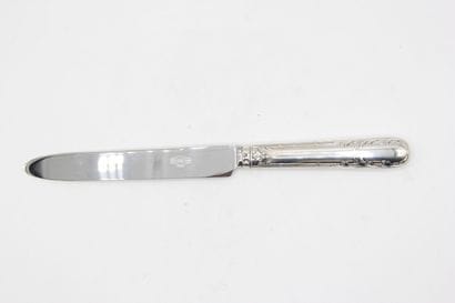 Table knife ( under pocket ) with the model...