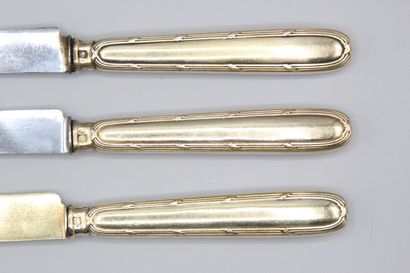 Double set of knives in vermeil (gold on...