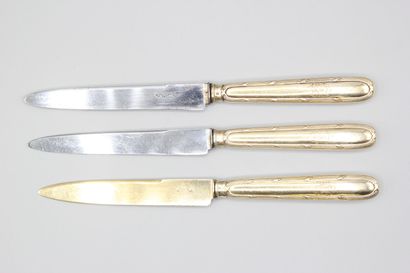 Double set of knives in vermeil (gold on...