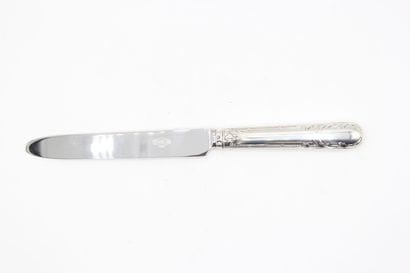 Table knife ( under pocket ) with the model...