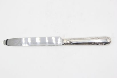 Table knife ( under pocket ) with the model...
