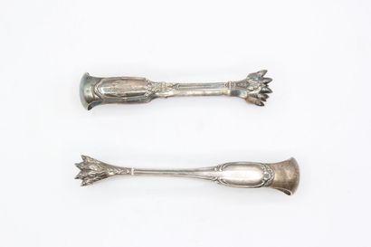 Two sugar tongs with lion paw tips in the...
