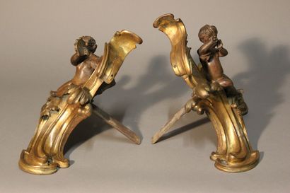 Paire de chenets en bronze à double patine...