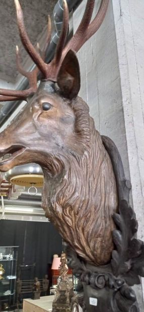 Très important trophée de cerf 14 cors en...