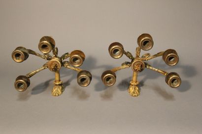 Paire d'appliques en bronze doré et ciselé...