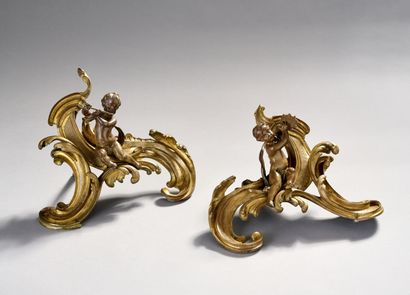 Paire de chenets en bronze à double patine...