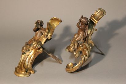 Paire de chenets en bronze à double patine...