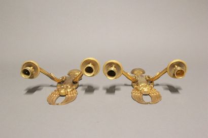 Paire d'appliques en bronze doré et ciselé...