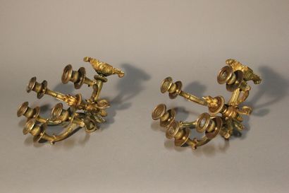 Paire d'appliques en bronze doré et ciselé...